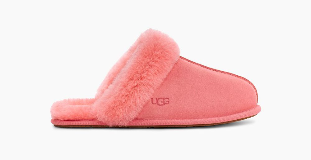 Ugg Scuffette Ii - Womens Slippers - Pink - NZ (8093NITHU)